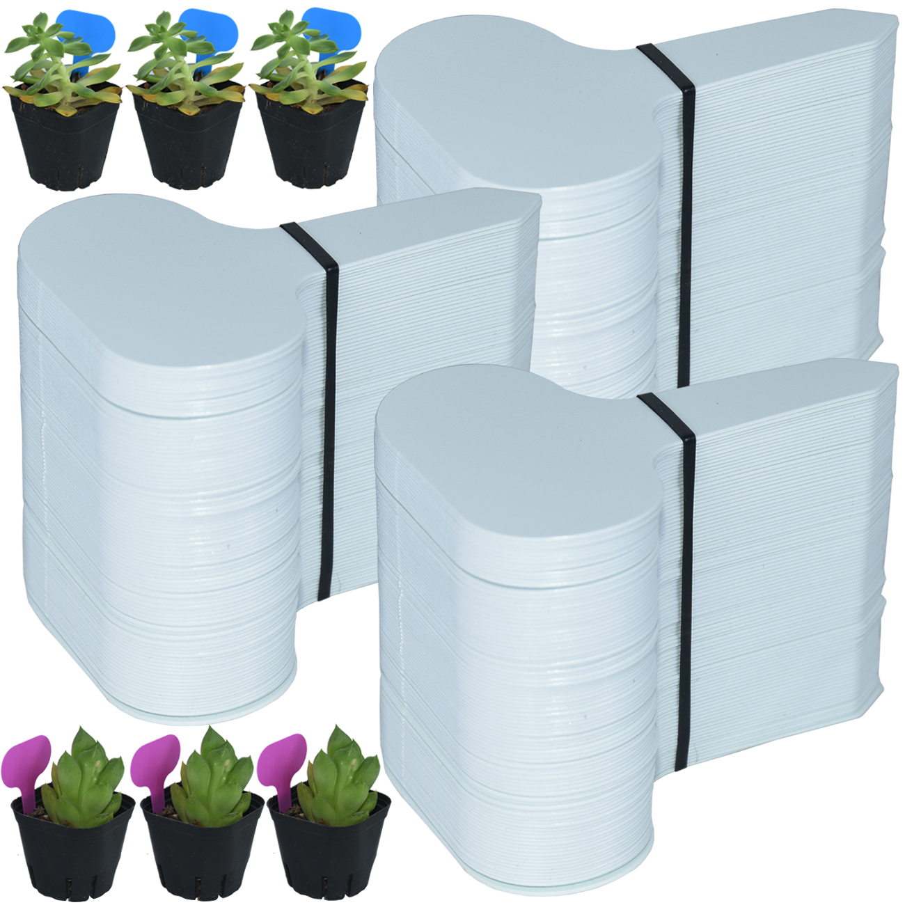 Garden Journal Planner - 50PCS Garden Plant Labels Marker 50*70MM