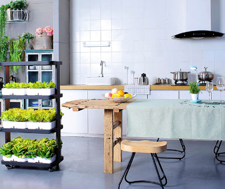Aquaponics Home Kit - Indoor Home Smart Herb Garden Intelligente