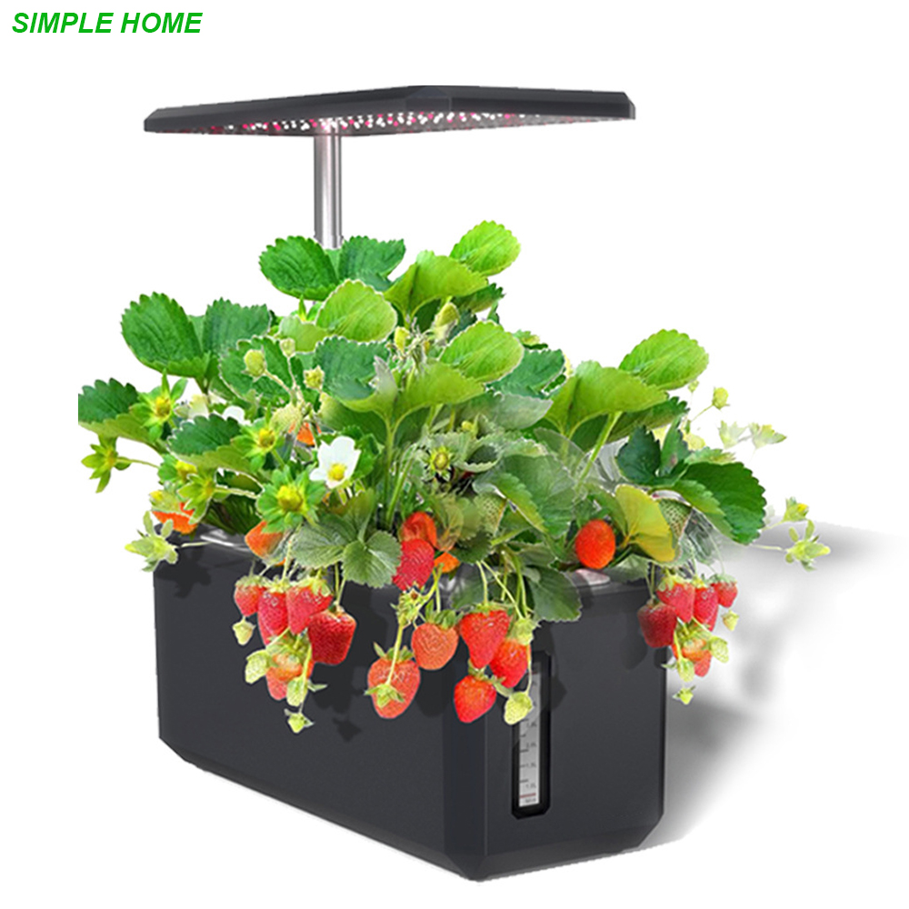 Smart Garden Products - Hydroponics Growing System With Indoor Plant