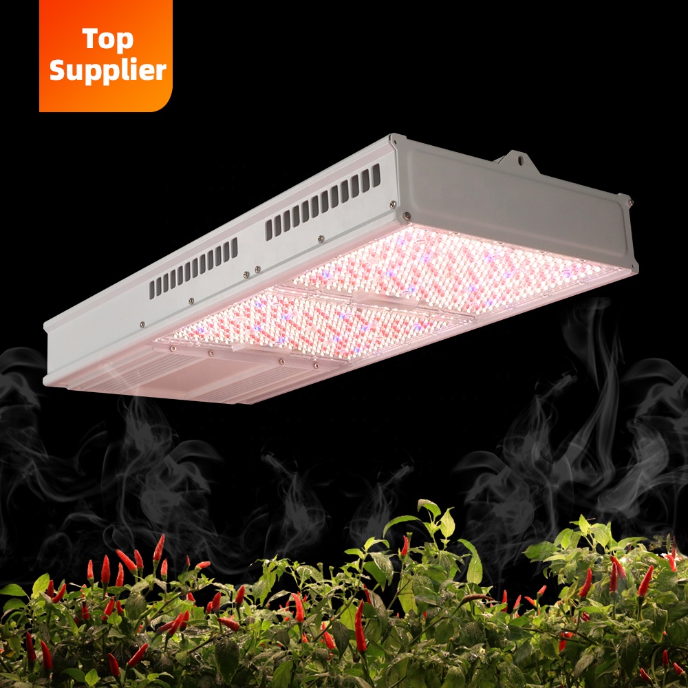 Cost-Effective 600W 800W Topli - Plant Grow Light Full Spectrum recensione e prezzo