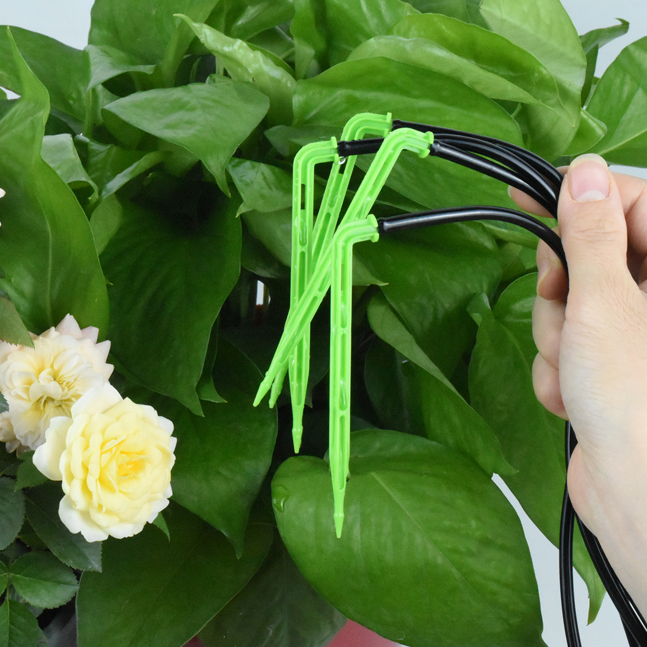 KESLA Garden 4/7mm to 3/5mm Ho - Smart Urban Garden recensione e prezzo