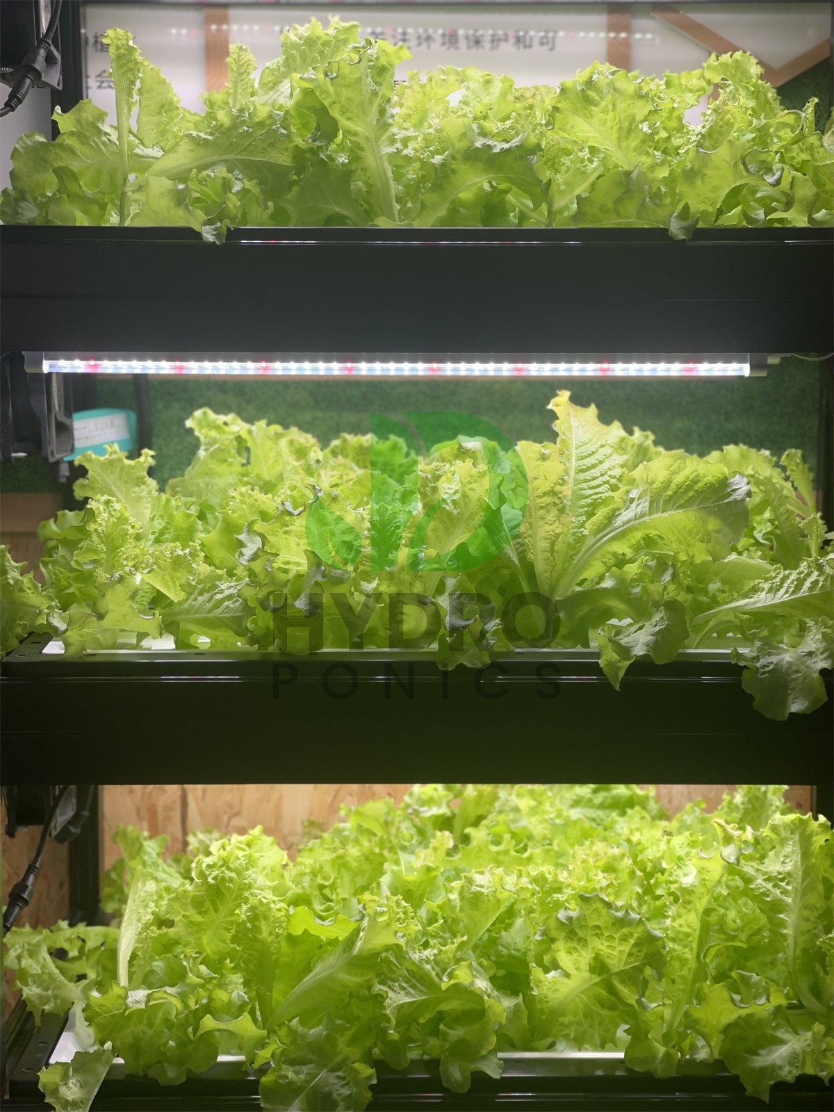 Indoor Home Smart Led Aquaponi - Aquaponics Home Kit recensione e prezzo