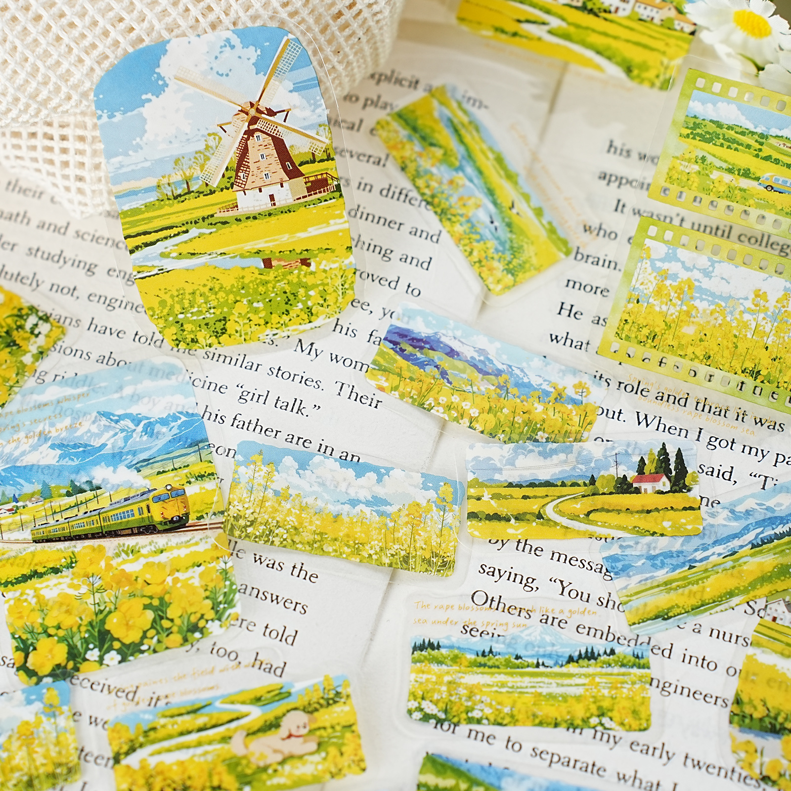 Etori Life 30Pcs Spring Rapese - Garden Journal Planner recensione e prezzo