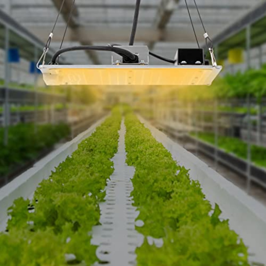 Square LED Grow Light Panel Fu - Plant Grow Light Full Spectrum recensione e prezzo