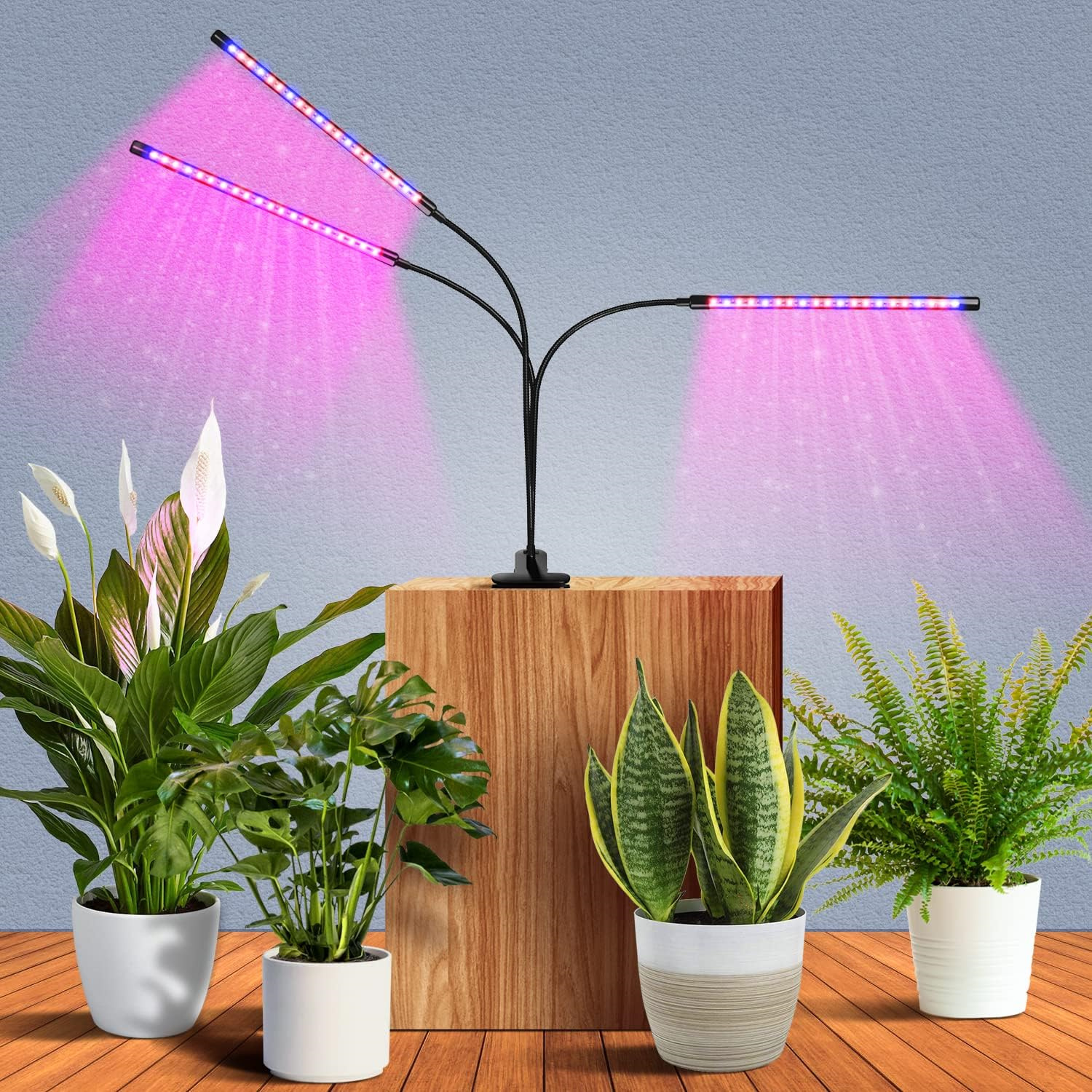 USB Phyto Lamp Full Spectrum H - Plant Grow Light Full Spectrum recensione e prezzo