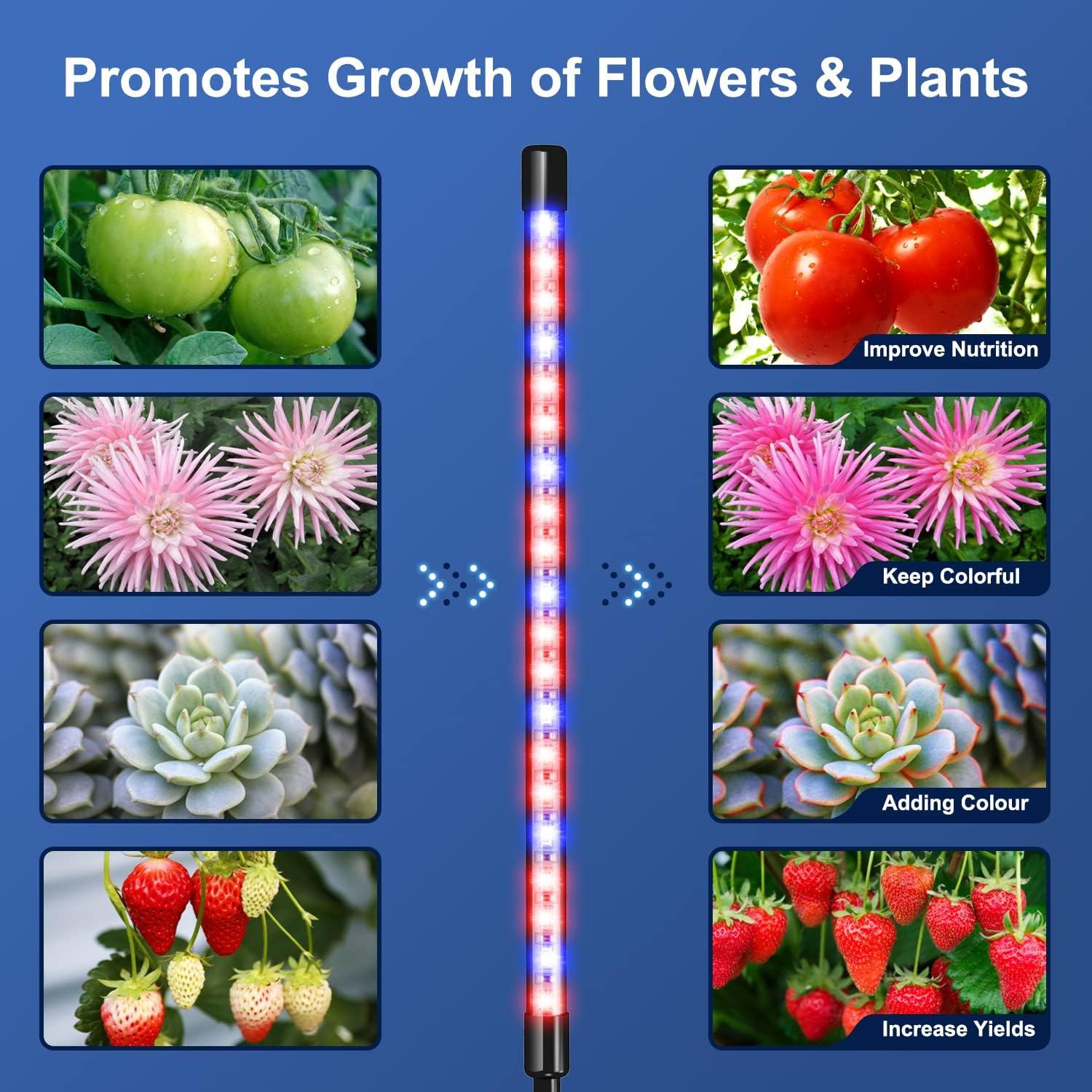 USB Phyto Lamp Full Spectrum H - Plant Grow Light Full Spectrum recensione e prezzo