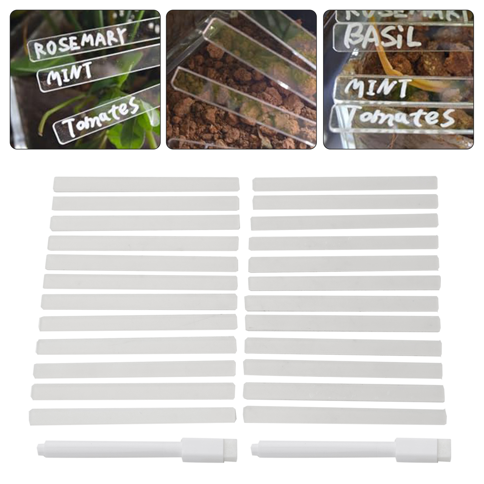 SAAAAAAcrylicPlantLabelTag Cle - Garden Journal Planner recensione e prezzo