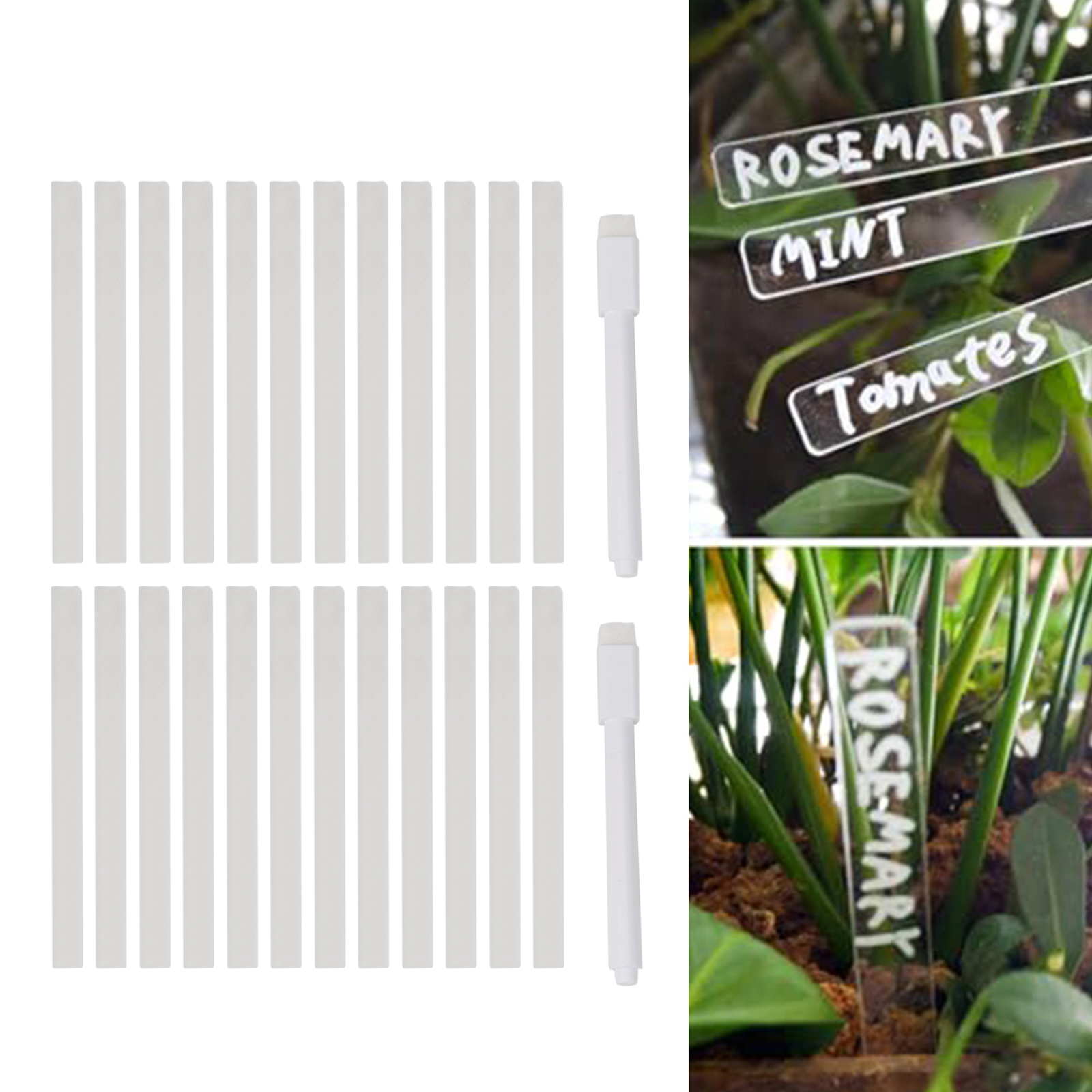 SAAAAAAcrylicPlantLabelTag Cle - Garden Journal Planner recensione e prezzo