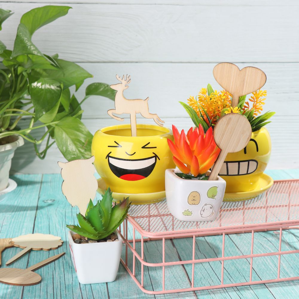 10PCS Eco-Friendly Bonsai Orna - Garden Journal Planner recensione e prezzo