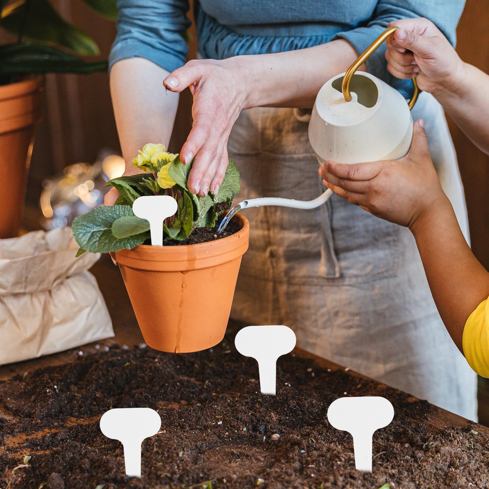 100 pieces White Plastic PVC P - Garden Journal Planner recensione e prezzo