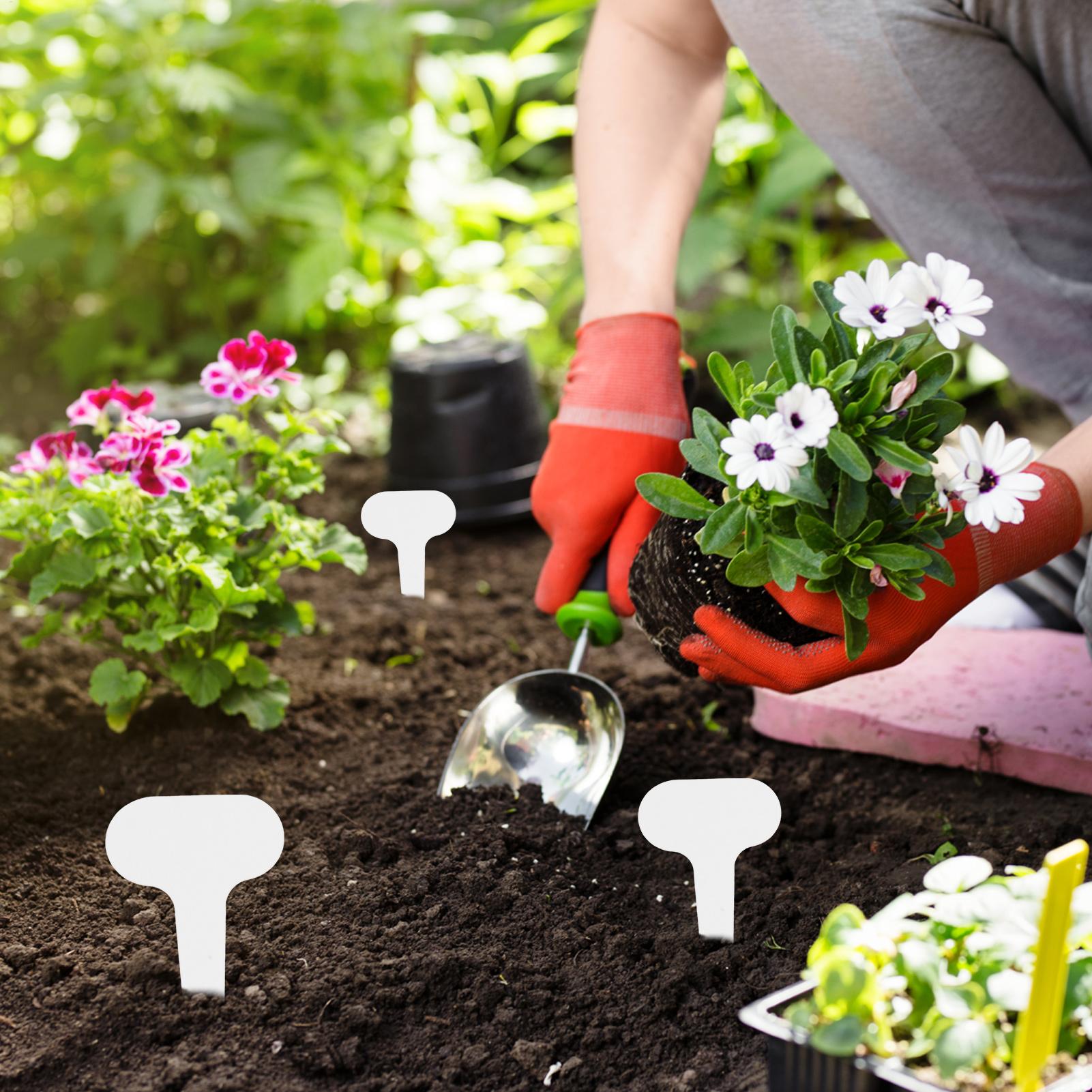 100 pieces White Plastic PVC P - Garden Journal Planner recensione e prezzo
