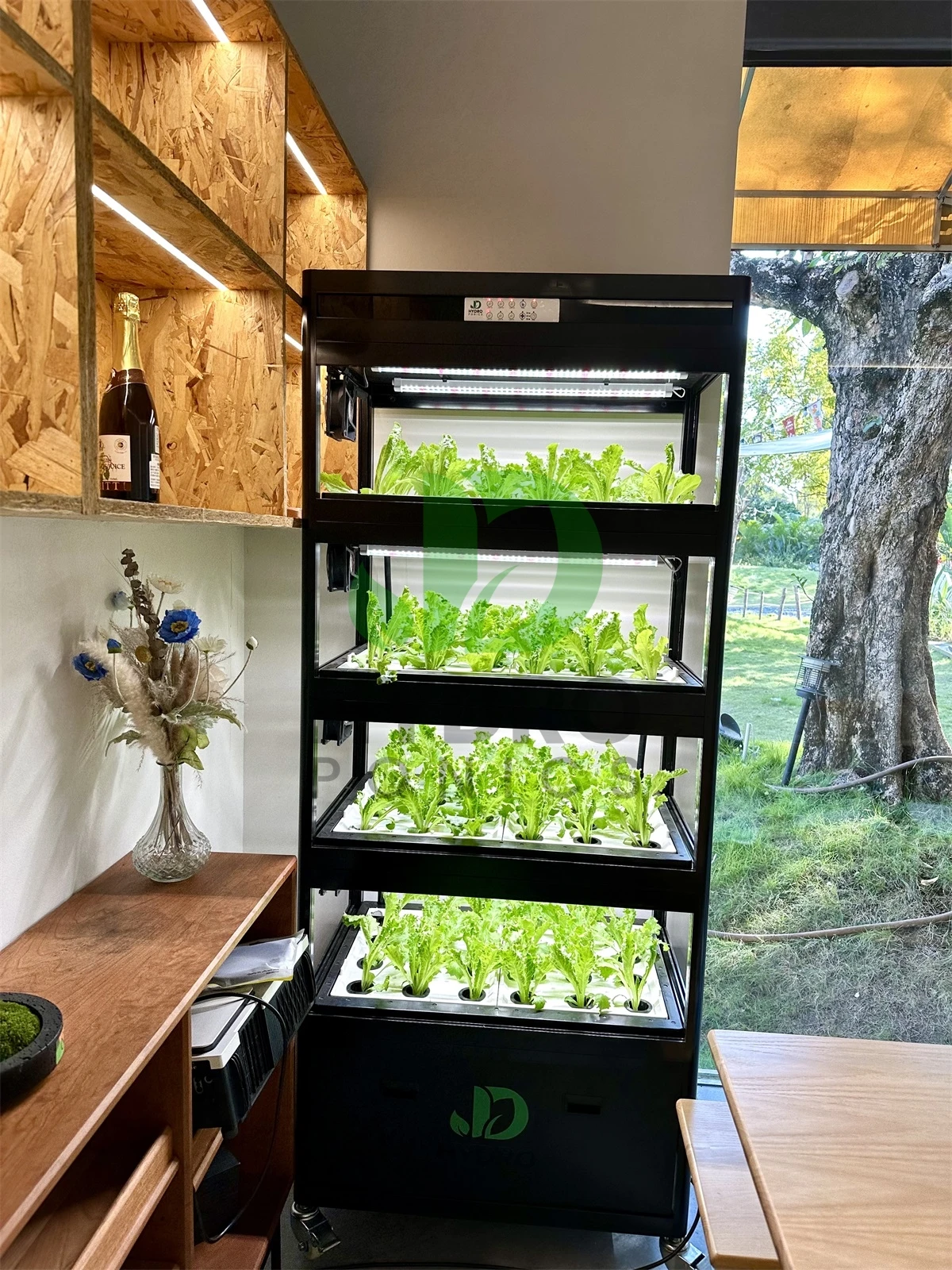 Indoor Home Smart Led Aquaponi - Aquaponics Home Kit recensione e prezzo