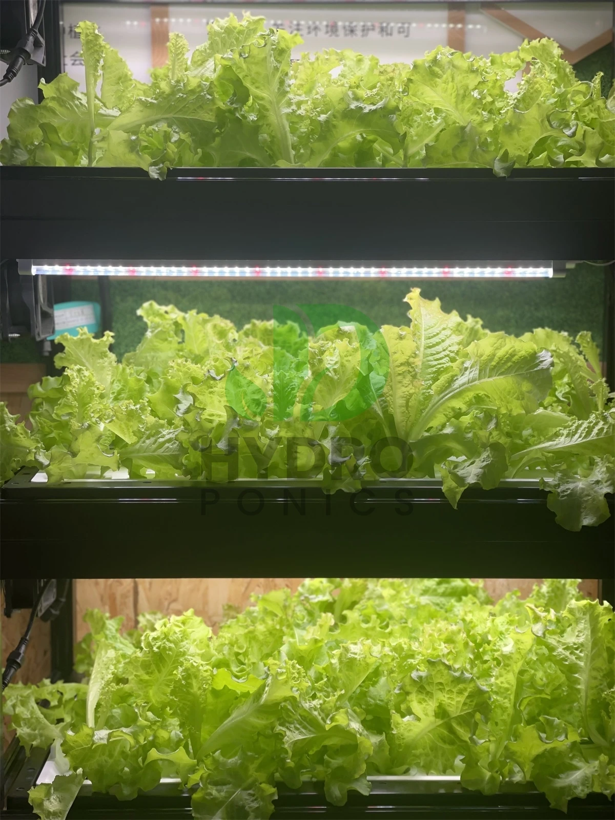 Indoor Home Smart Led Aquaponi - Aquaponics Home Kit recensione e prezzo