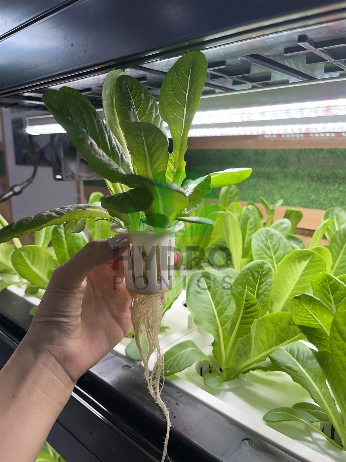 Indoor Home Smart Led Aquaponi - Aquaponics Home Kit recensione e prezzo