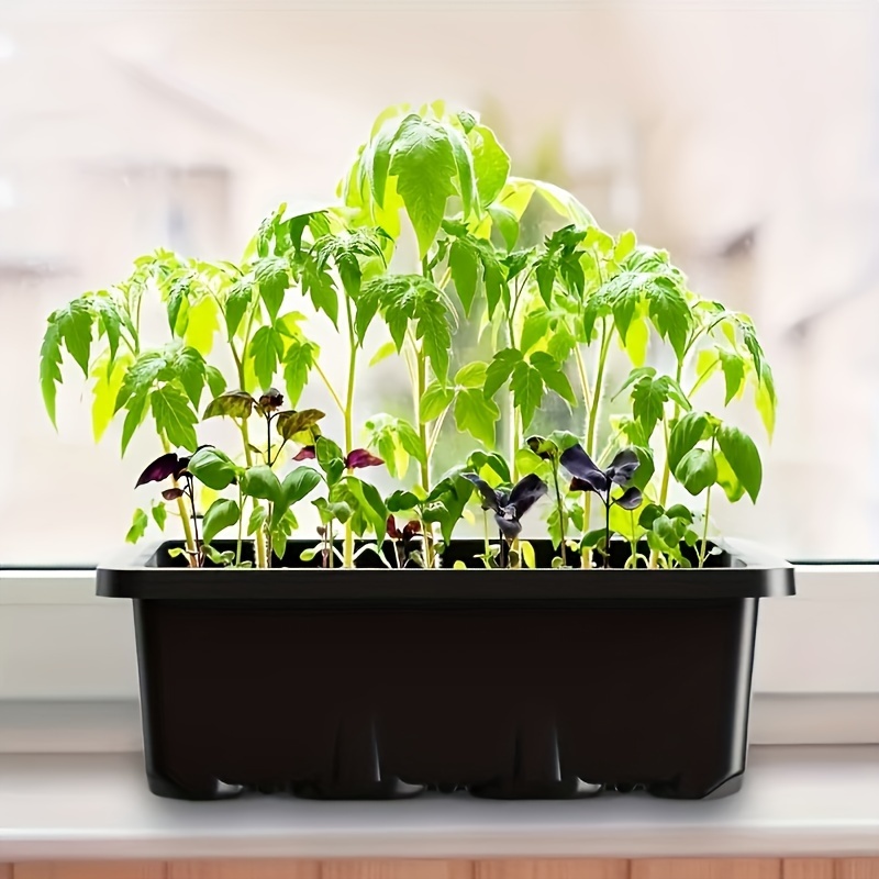 Seedling Starter Kit 1/2/3 Set - Plant Grow Light Full Spectrum recensione e prezzo