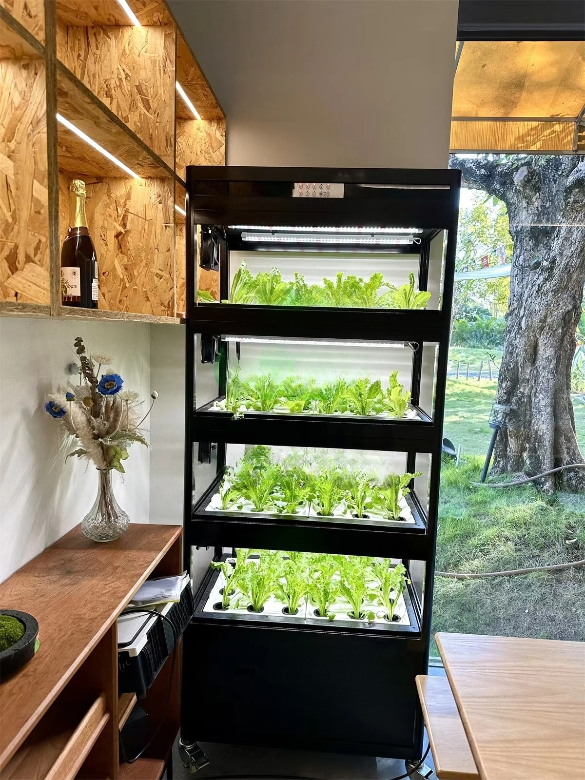 Indoor Home Smart Led Aquaponi - Aquaponics Home Kit recensione e prezzo