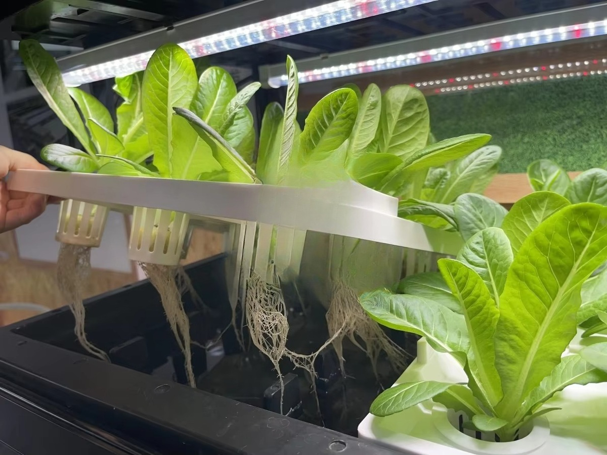 Indoor Home Smart Led Aquaponi - Aquaponics Home Kit recensione e prezzo