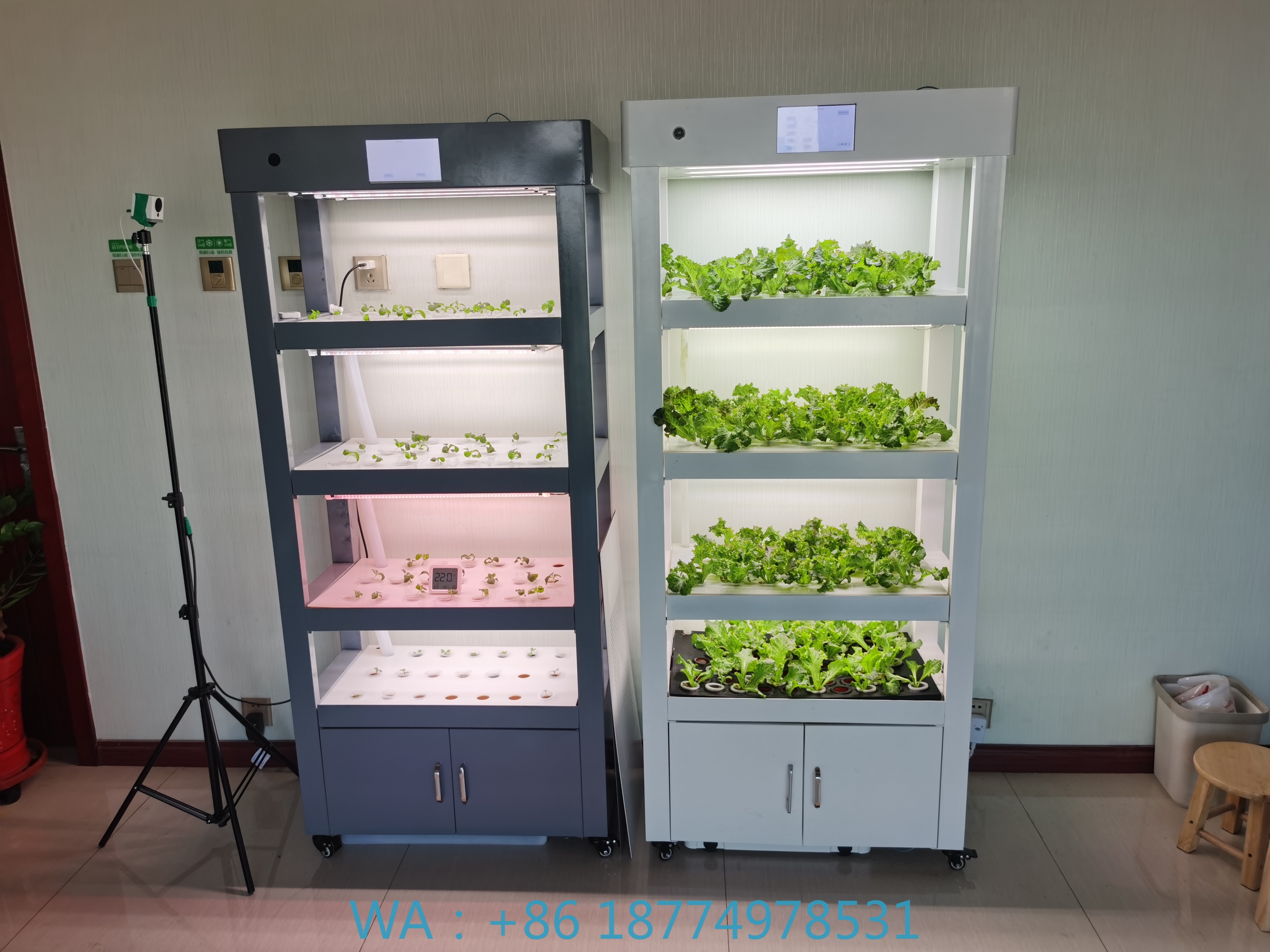 Aeroponic Vertical Hydroponic  - Aquaponics Home Kit recensione e prezzo