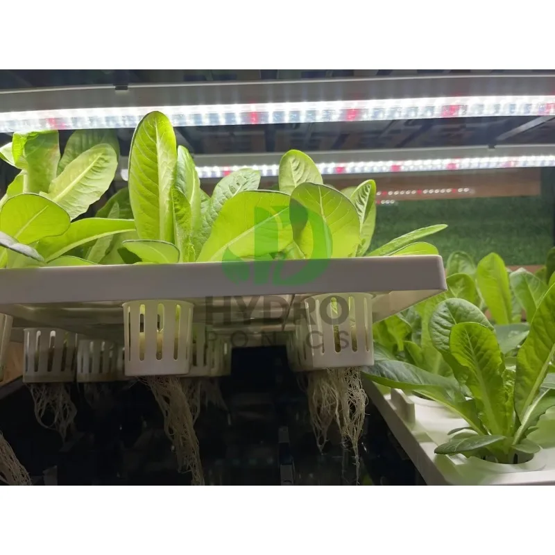 108 Holes Hydroponic Cabinet G - Aquaponics Home Kit recensione e prezzo
