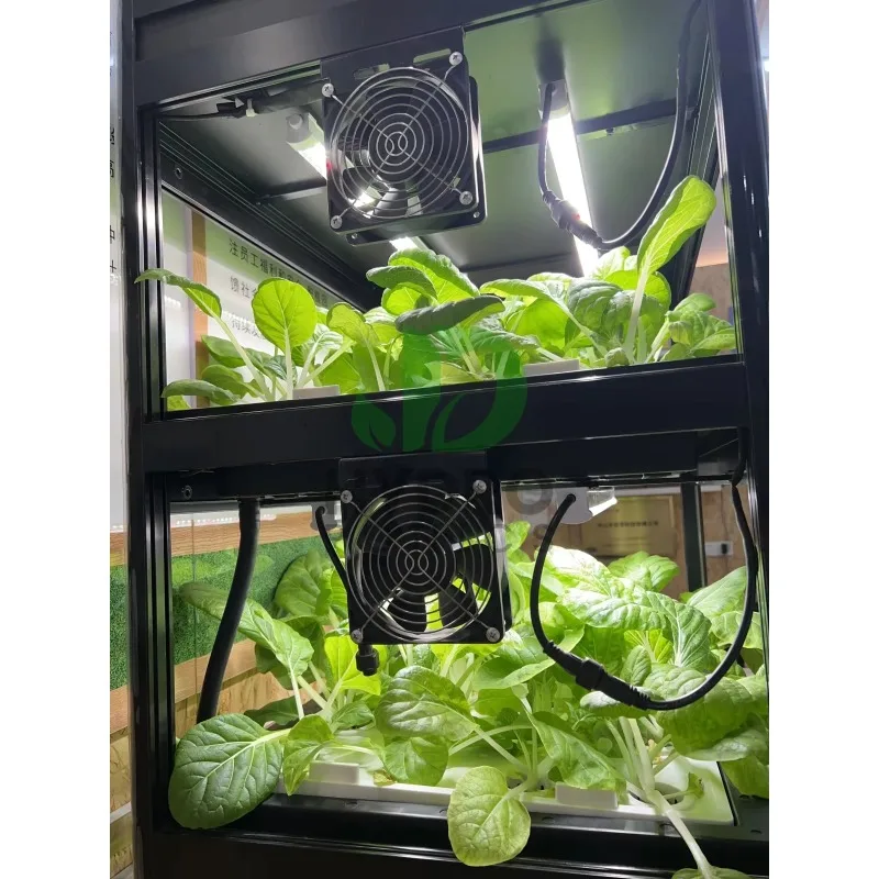 108 Holes Hydroponic Cabinet G - Aquaponics Home Kit recensione e prezzo