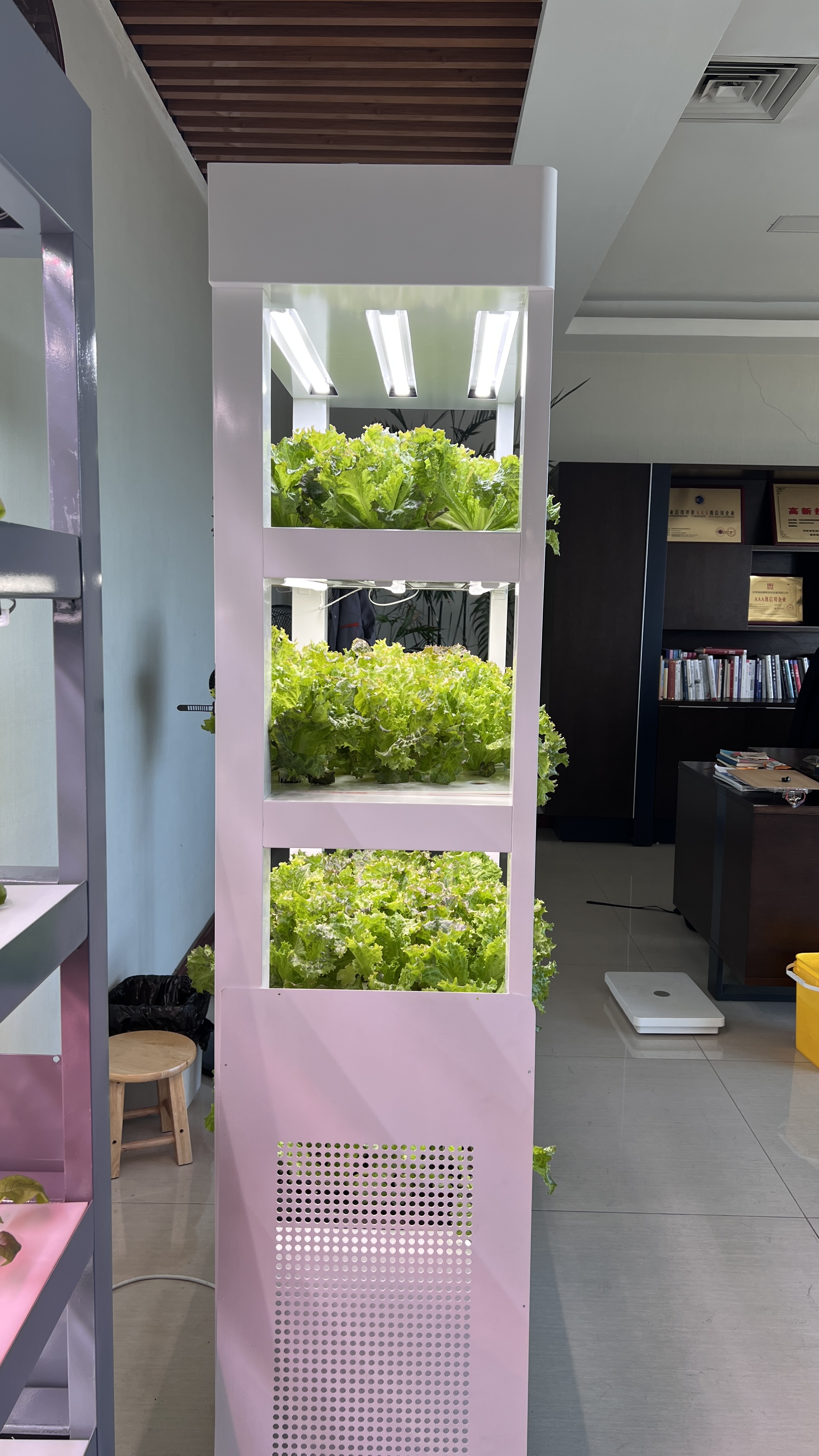 Indoor Home Smart Garden Intel - Aquaponics Home Kit recensione e prezzo