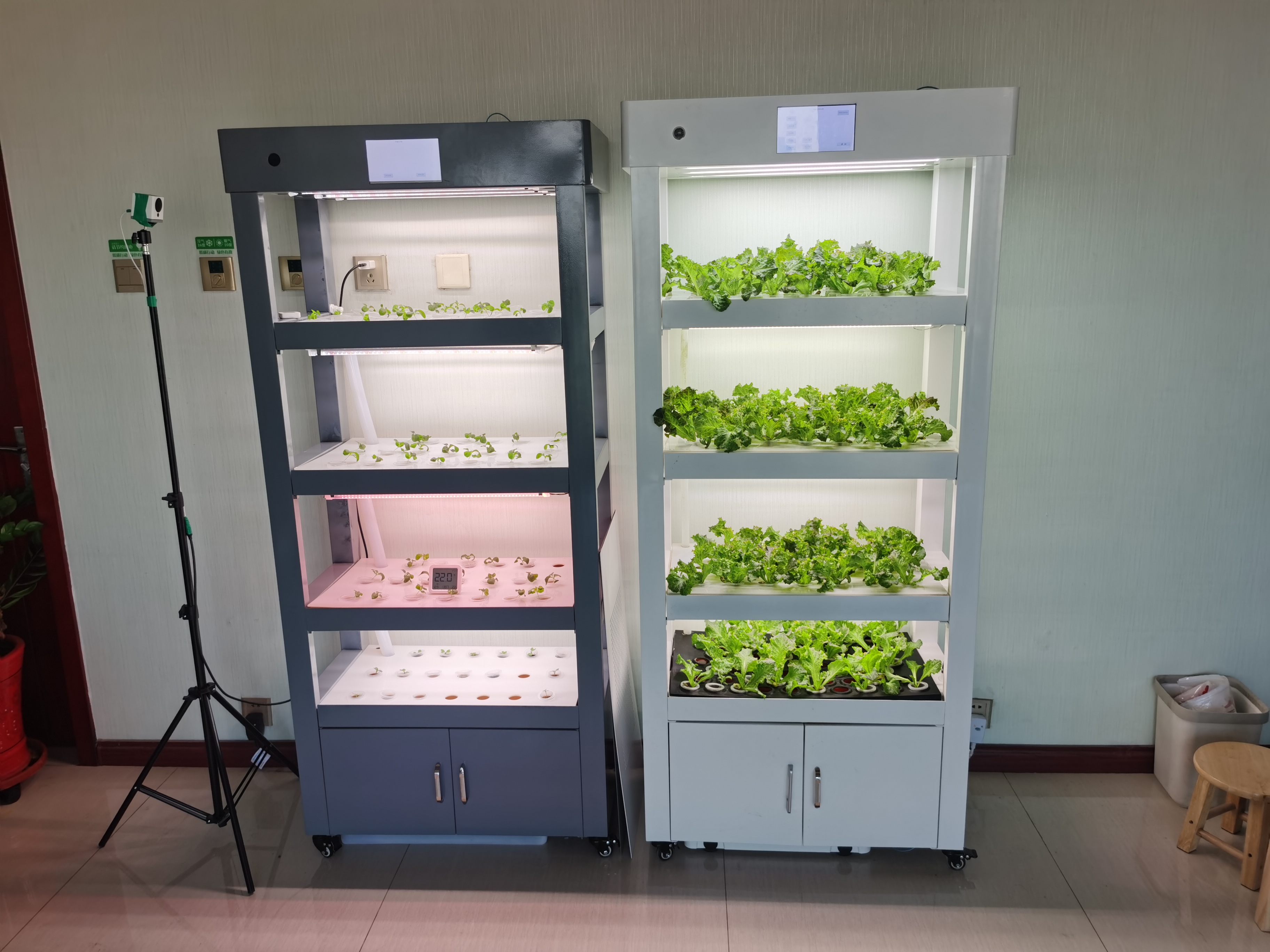 Indoor Home Smart Garden Intel - Aquaponics Home Kit recensione e prezzo