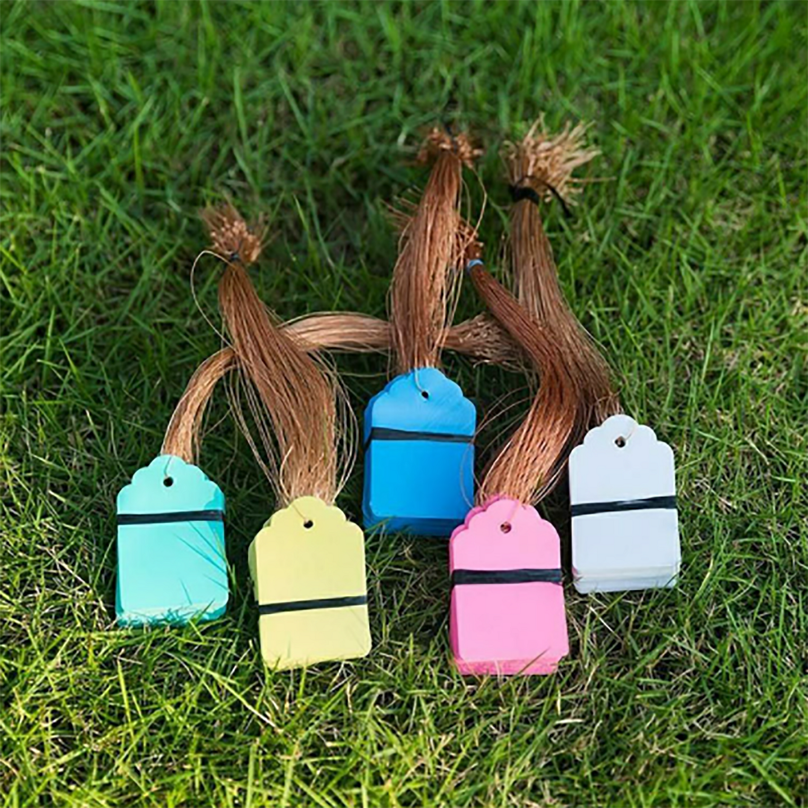 100Pcs/Lot Plants Hanging Plan - Garden Journal Planner recensione e prezzo
