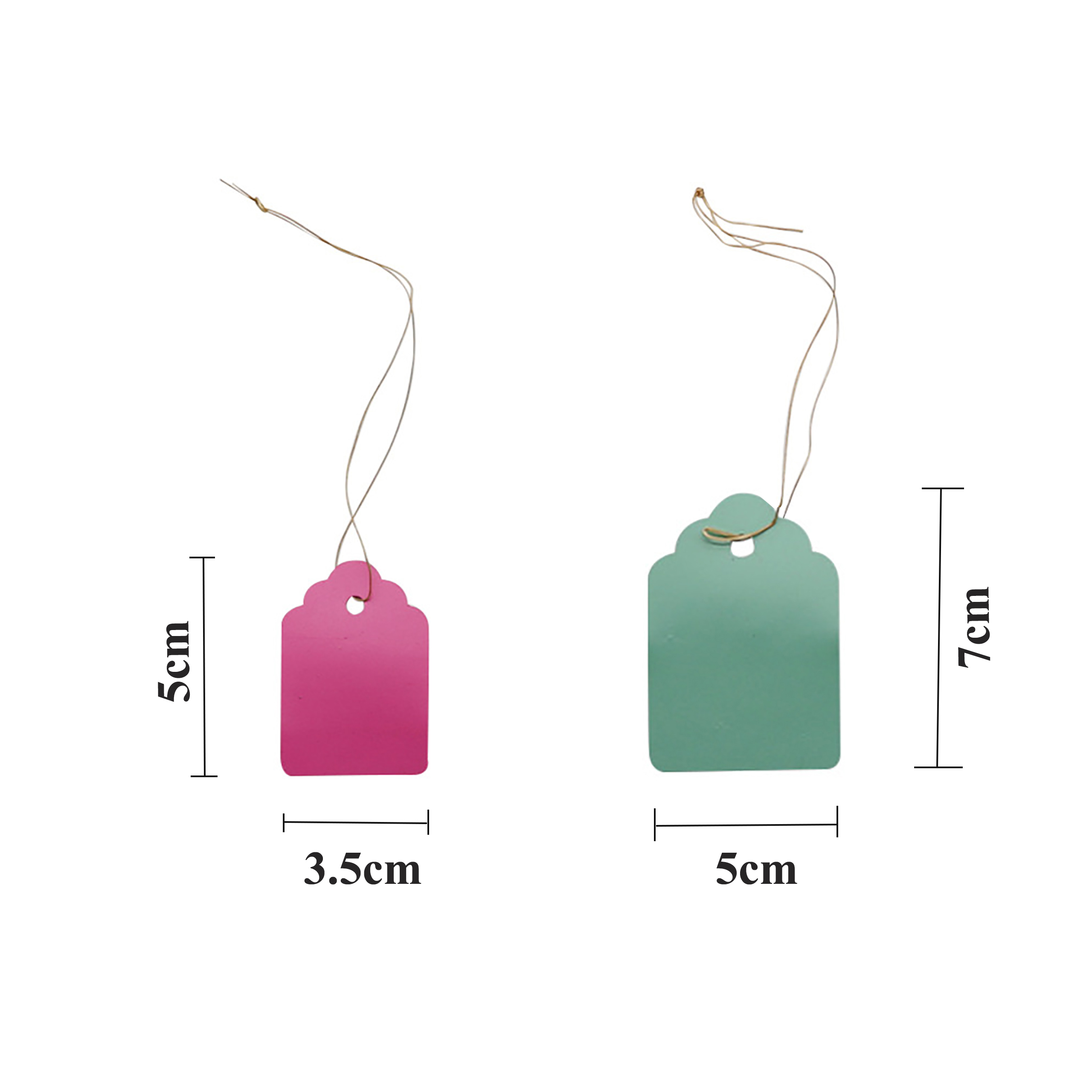 100Pcs/Lot Plants Hanging Plan - Garden Journal Planner recensione e prezzo