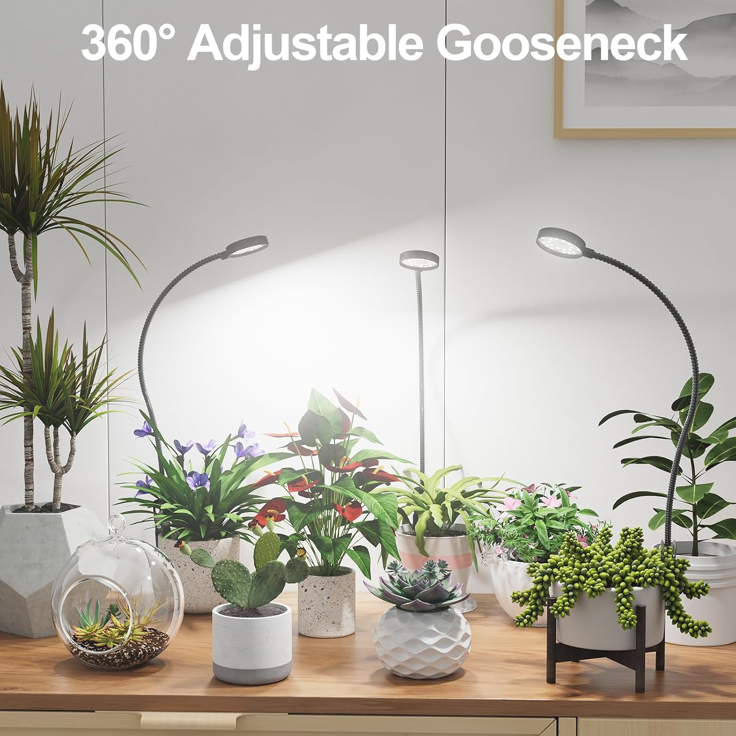 USB LED Grow Light 6000K Full  - Plant Grow Light Full Spectrum recensione e prezzo