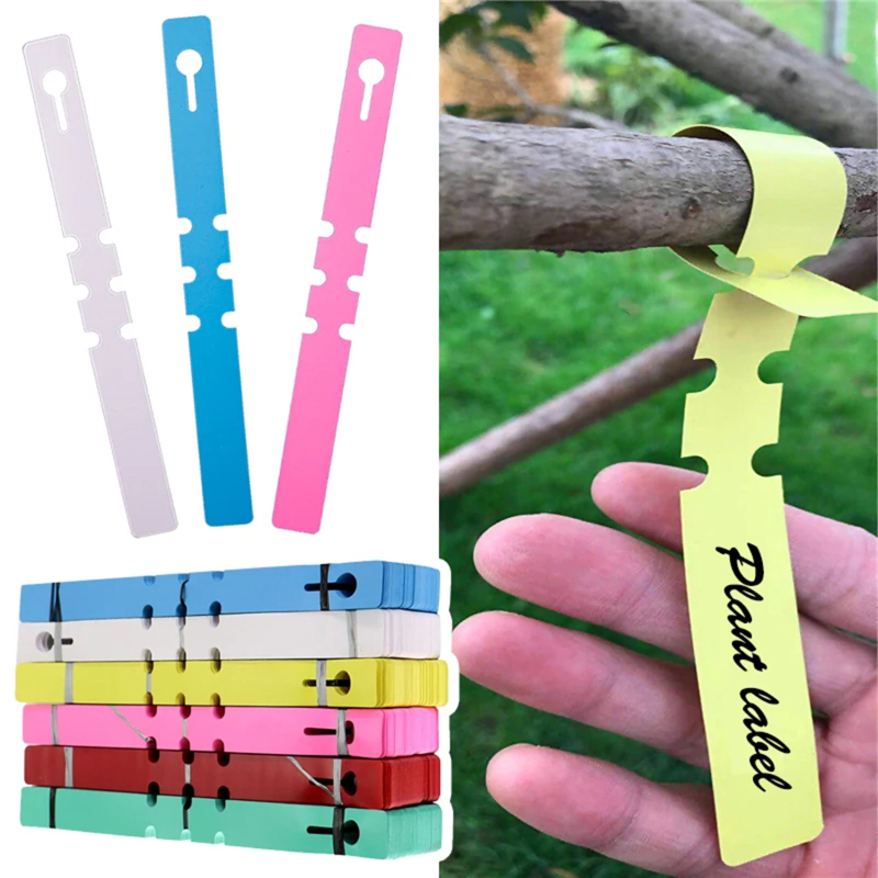 100-200pcs Waterproof Plant Ma - Garden Journal Planner recensione e prezzo