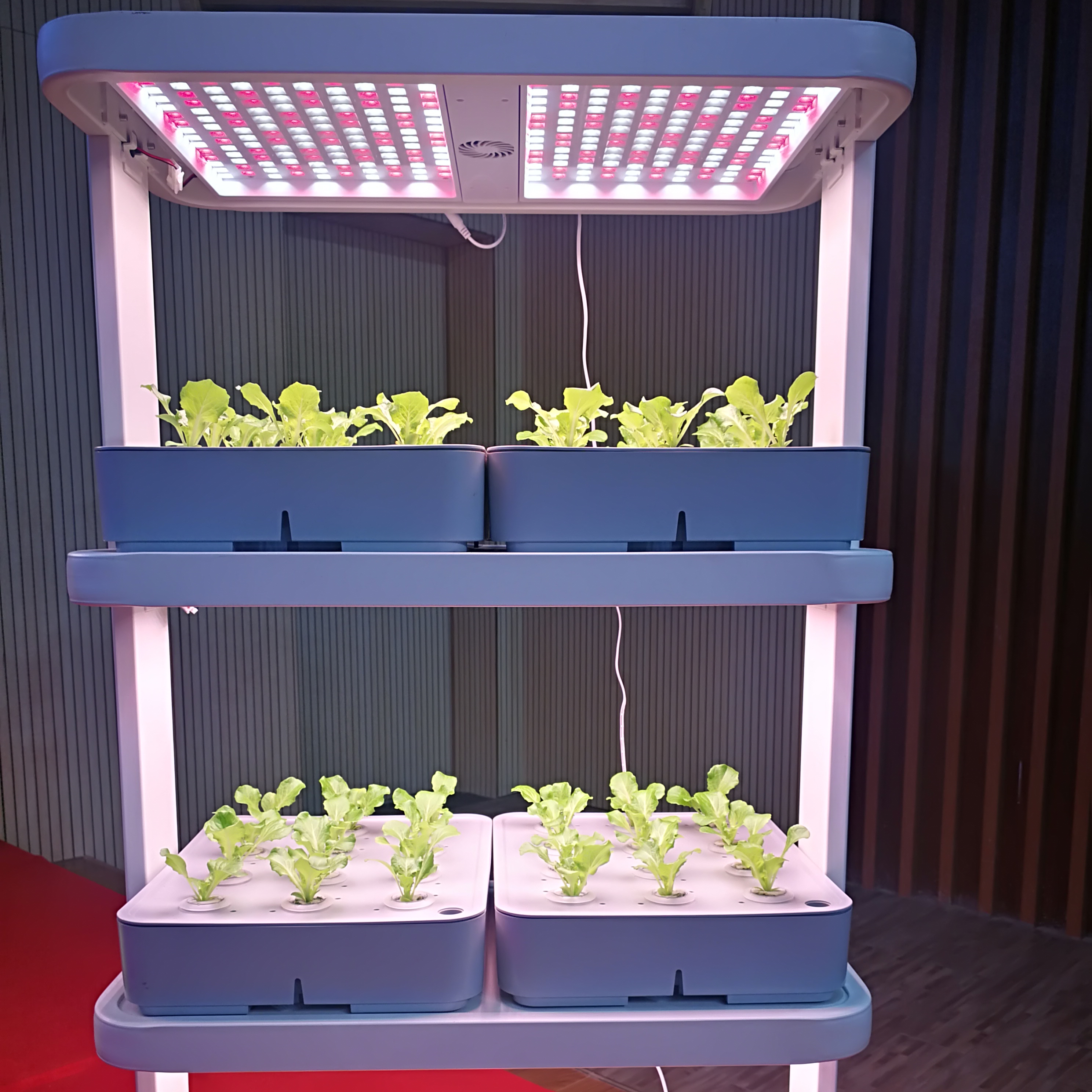Indoor Home Smart Herb Garden  - Aquaponics Home Kit recensione e prezzo
