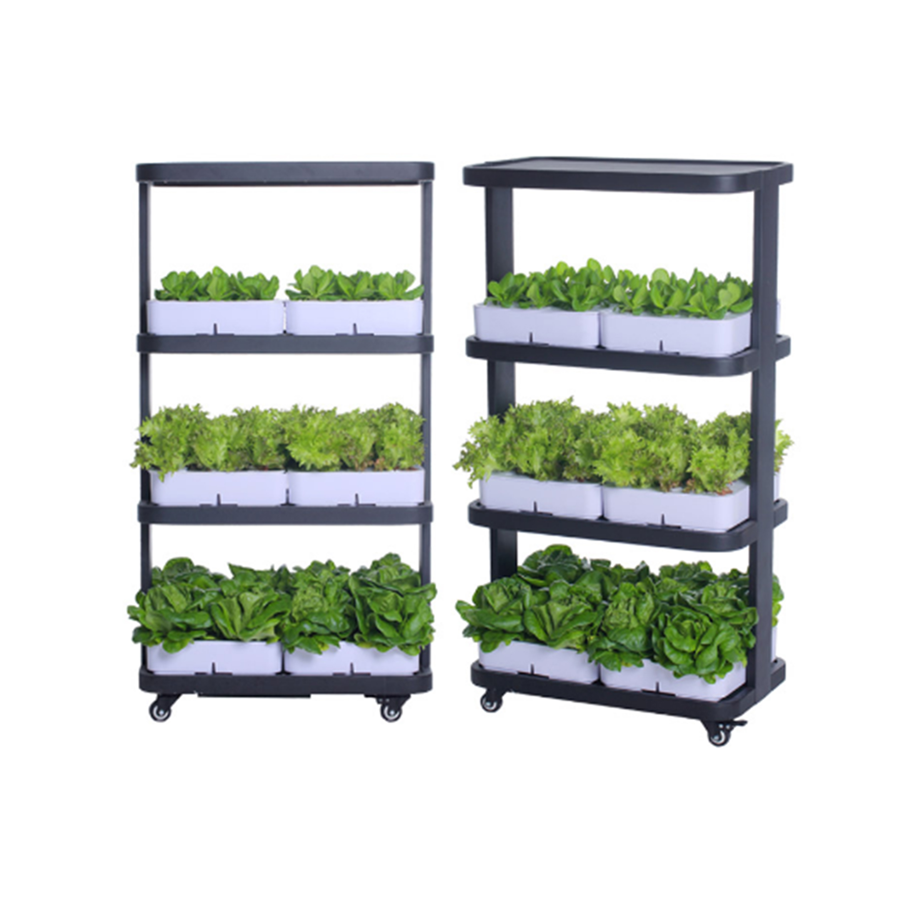 Indoor Home Smart Herb Garden  - Aquaponics Home Kit recensione e prezzo