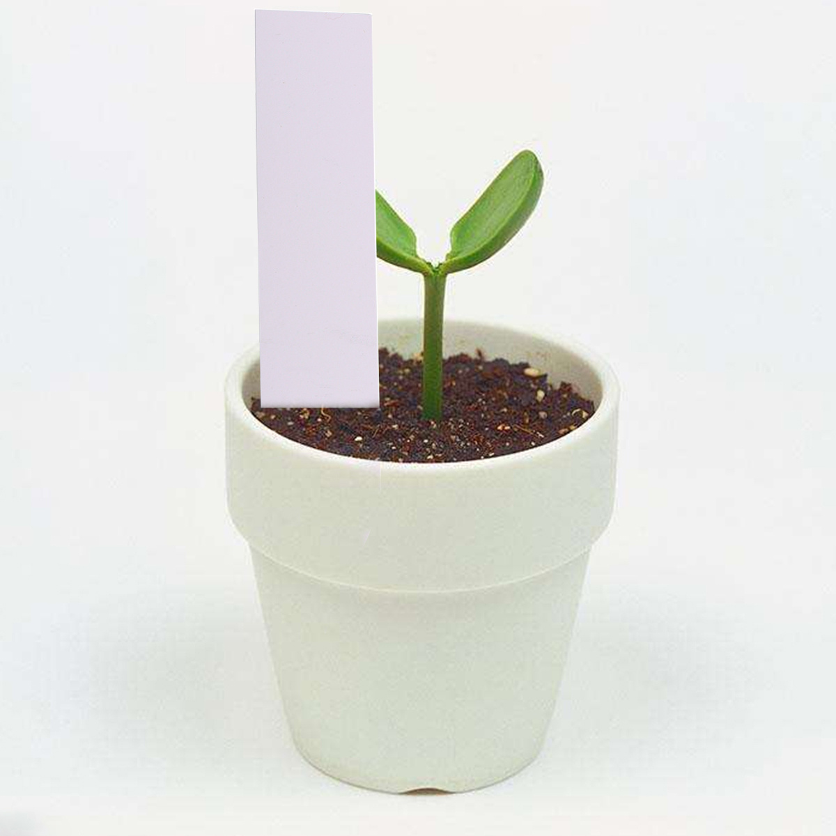 100pcs Garden Plant Labels Whi - Garden Journal Planner recensione e prezzo