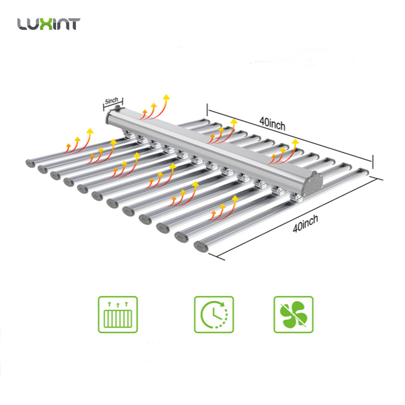LUX China Factory Led Plant Li - Plant Grow Light Full Spectrum recensione e prezzo
