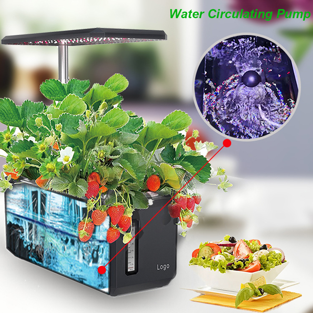 Hydroponics Growing System Wit - Smart Garden Products recensione e prezzo