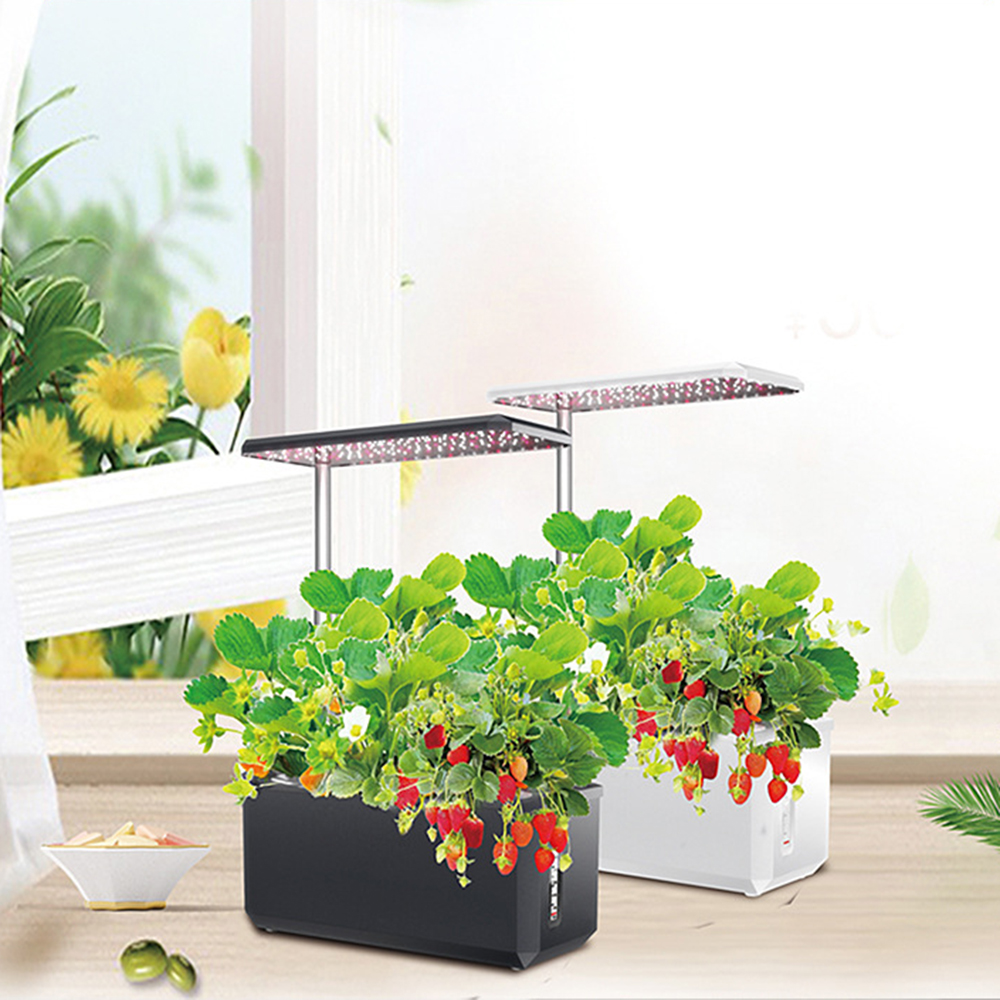 Hydroponics Growing System Wit - Smart Garden Products recensione e prezzo