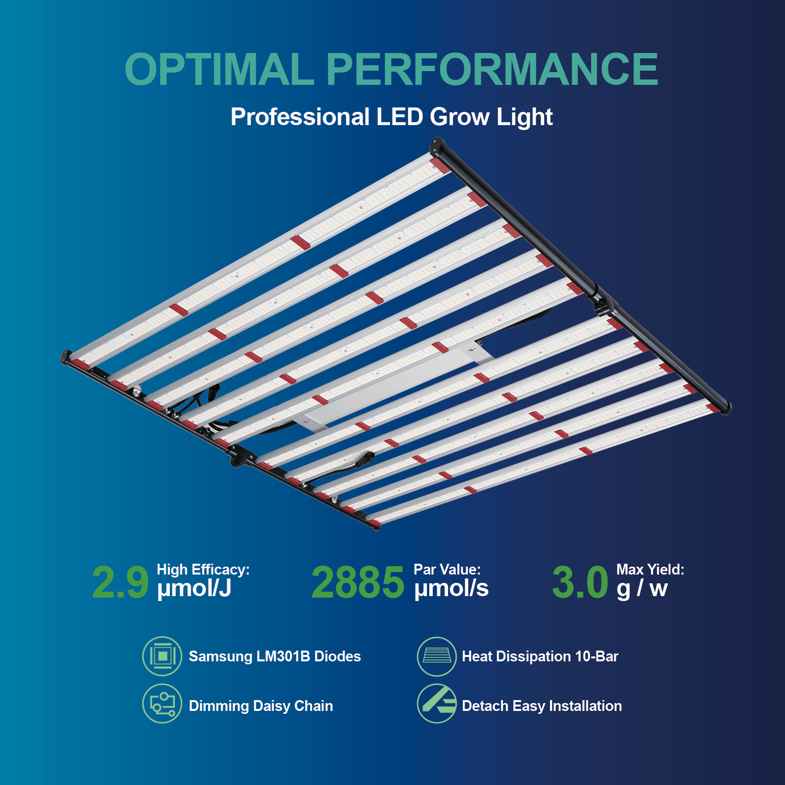 ETL 240W 320W 600W 800W 1000W  - Plant Grow Light Full Spectrum recensione e prezzo