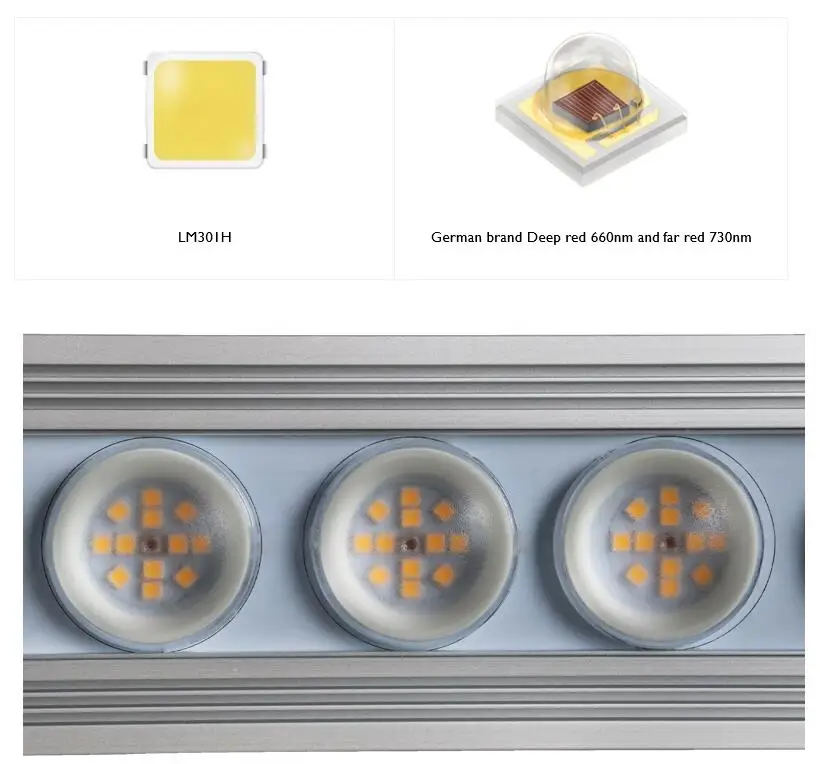 Koray 900W Indoor full spectru - Plant Grow Light Full Spectrum recensione e prezzo