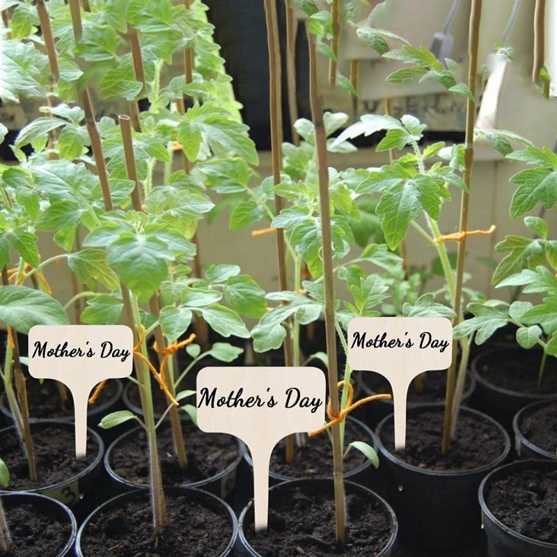 T-Type Bamboo Plant Labels Eco - Garden Journal Planner recensione e prezzo