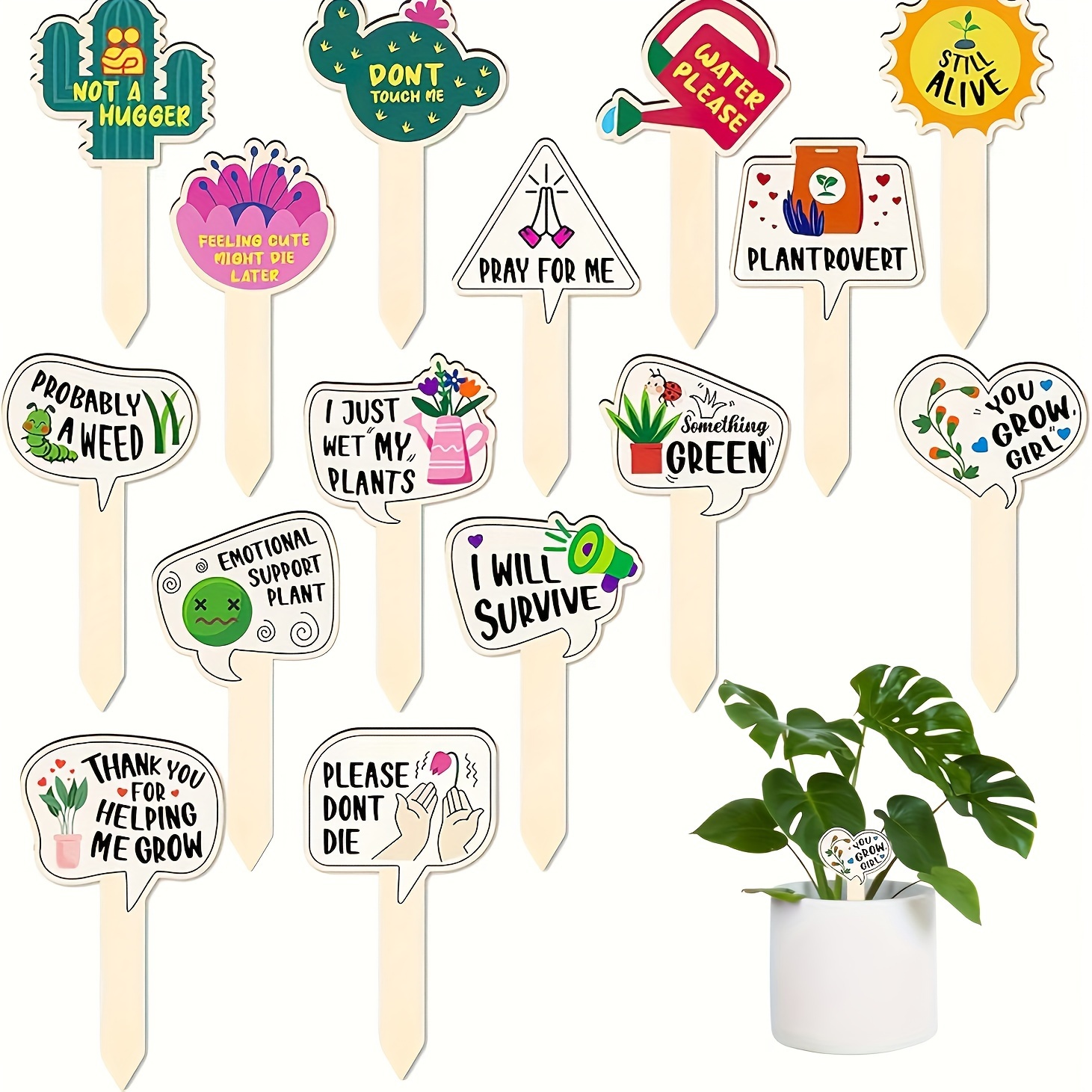 5/10Pcs Plant Labels for Succu - Garden Journal Planner recensione e prezzo