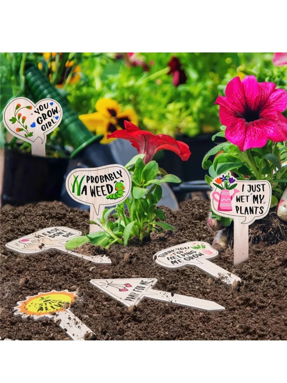 5/10Pcs Plant Labels for Succu - Garden Journal Planner recensione e prezzo