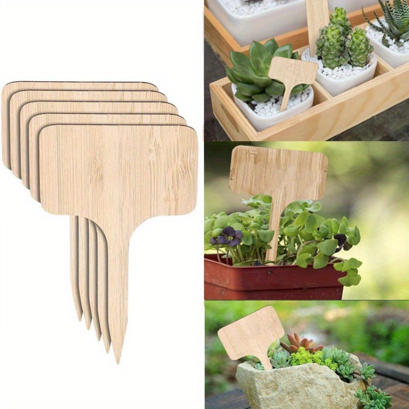 Bamboo Plant Labels, T-Type Wo - Garden Journal Planner recensione e prezzo