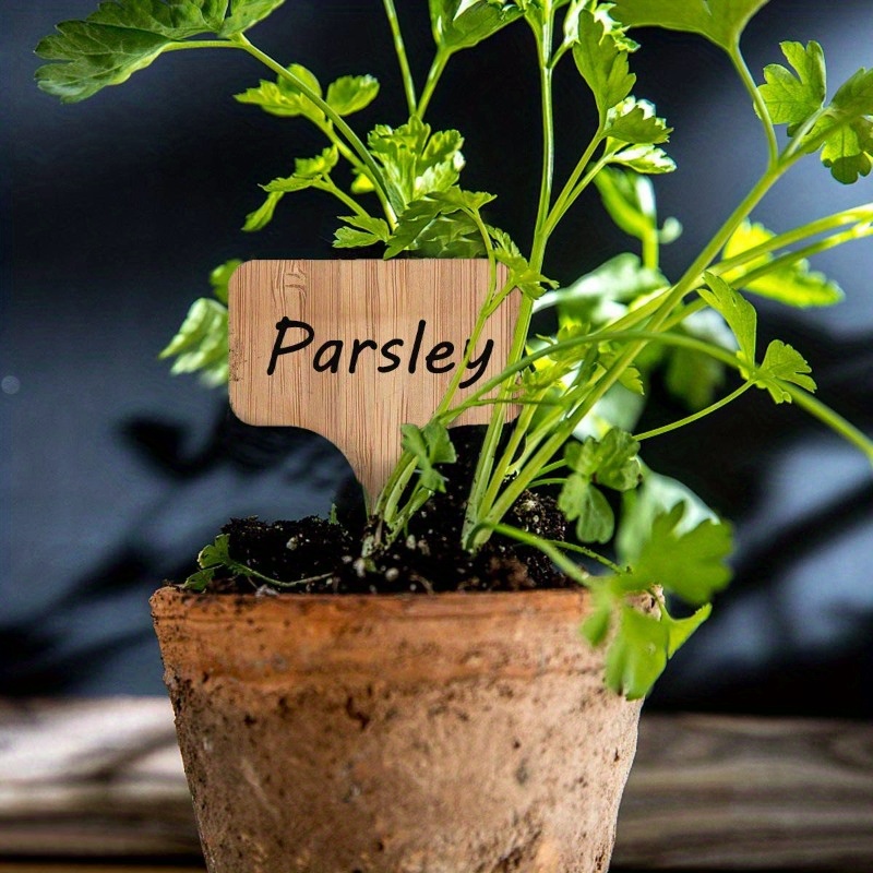 Bamboo Plant Labels, T-Type Wo - Garden Journal Planner recensione e prezzo