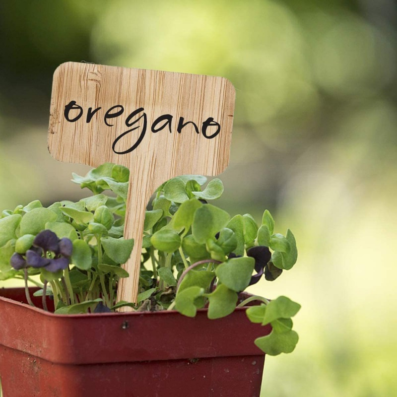 Bamboo Plant Labels, T-Type Wo - Garden Journal Planner recensione e prezzo