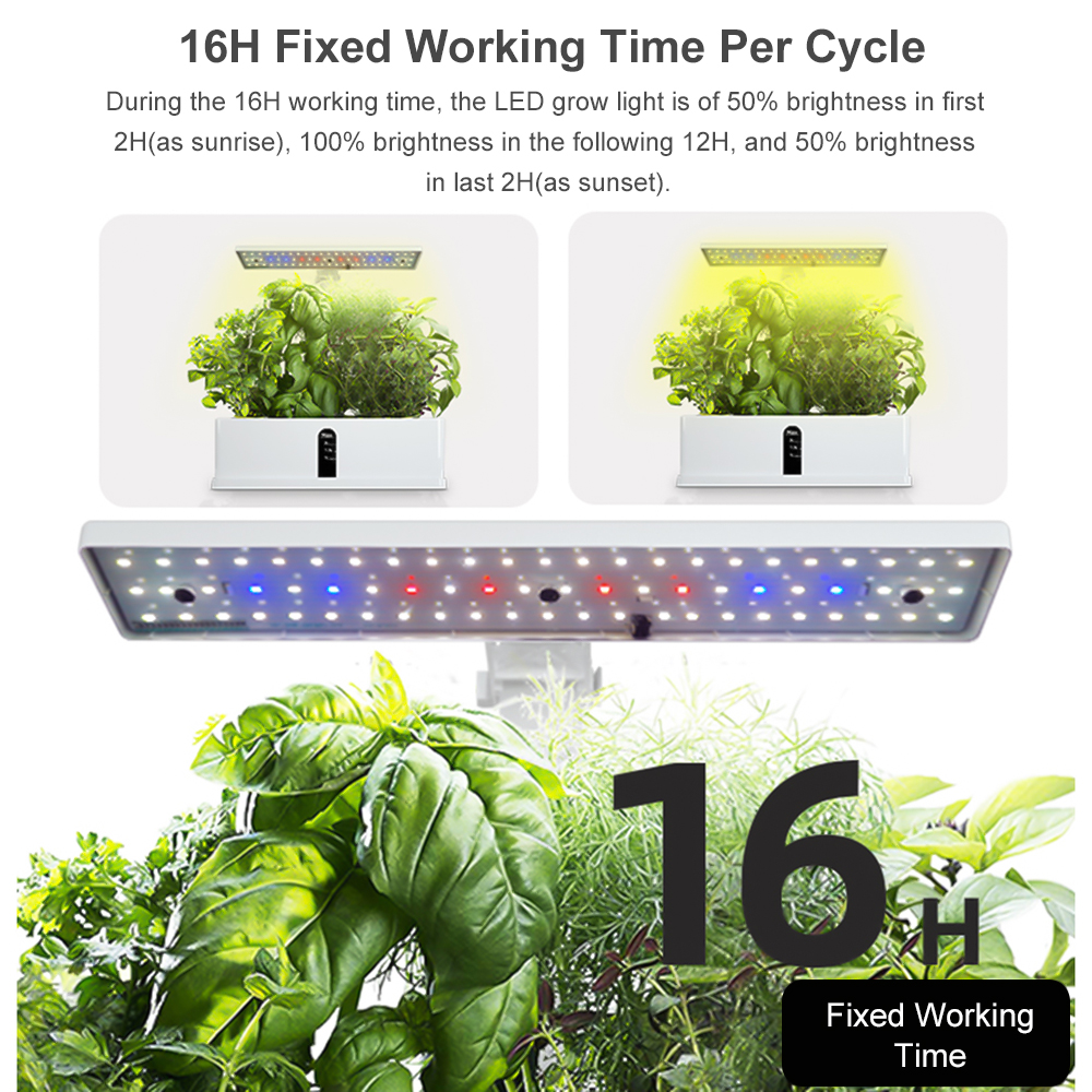 Smart Hydroponics Growing Syst - Smart Garden Products recensione e prezzo