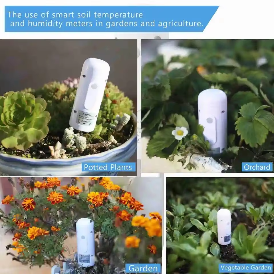 Tuya Zigbee Soil Tester Temper - Smart Urban Garden recensione e prezzo